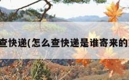 怎么查快递(怎么查快递是谁寄来的东西)