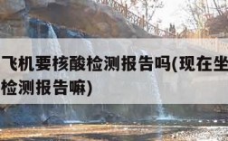 现在坐飞机要核酸检测报告吗(现在坐飞机需要核酸检测报告嘛)