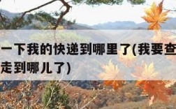 我要查一下我的快递到哪里了(我要查一查我的快递走到哪儿了)