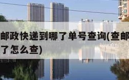 如何查邮政快递到哪了单号查询(查邮政快递到哪儿了怎么查)
