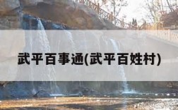 武平百事通(武平百姓村)