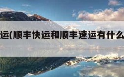 顺丰快运(顺丰快运和顺丰速运有什么区别吗)