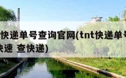 tnt快递单号查询官网(tnt快递单号查询快速 查快递)