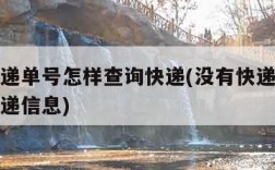 没有快递单号怎样查询快递(没有快递单号怎么查快递信息)