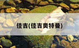 佳吉(佳吉奥特曼)