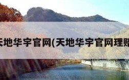 天地华宇官网(天地华宇官网理赔)