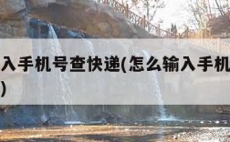 怎么输入手机号查快递(怎么输入手机号查快递单号)