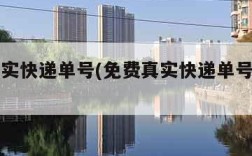 免费真实快递单号(免费真实快递单号查询官网)