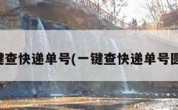 一键查快递单号(一键查快递单号圆通)