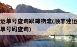 顺丰速运单号查询跟踪物流(顺丰速运单号查询跟踪单号码查询)