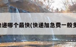 加急快递哪个最快(快递加急费一般多少钱)