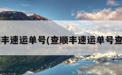 查顺丰速运单号(查顺丰速运单号查询s)