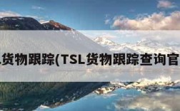 tsl货物跟踪(TSL货物跟踪查询官网)