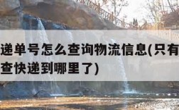 只有快递单号怎么查询物流信息(只有快递单号怎么查快递到哪里了)