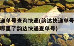 韵达快递单号查询快速(韵达快递单号查询快速货到哪里了韵达快递查单号)