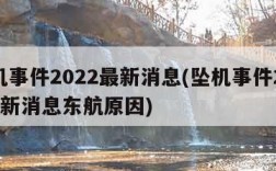 坠机事件2022最新消息(坠机事件2022最新消息东航原因)