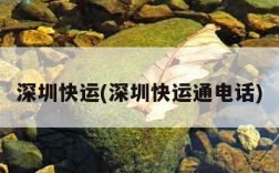 深圳快运(深圳快运通电话)