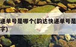 韵达快递单号是哪个(韵达快递单号是哪个位置的数字)