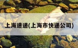 上海速递(上海市快递公司)