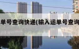 输入运单号查询快递(输入运单号查询快递申通)