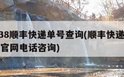 95338顺丰快递单号查询(顺丰快递单号查询官网电话咨询)