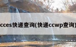 cces快递查询(快递ccwp查询)