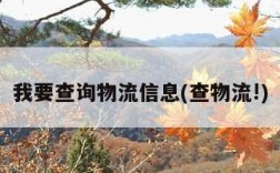 我要查询物流信息(查物流!)