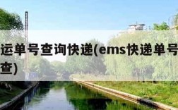 ems运单号查询快递(ems快递单号查询号码查)
