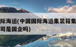 中国国际海运(中国国际海运集装箱集团股份有限公司是国企吗)