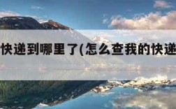 如何查快递到哪里了(怎么查我的快递到哪儿了)