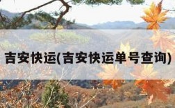 吉安快运(吉安快运单号查询)