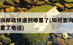 如何查询邮政快递到哪里了(如何查询邮政快递到哪里了电话)
