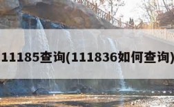 11185查询(111836如何查询)
