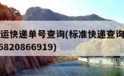 标准快运快递单号查询(标准快递查询单号查询2006820866919)