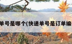 快递单号是哪个(快递单号是订单编号吗)