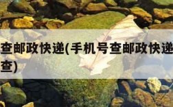 手机号查邮政快递(手机号查邮政快递包裹查询怎么查)
