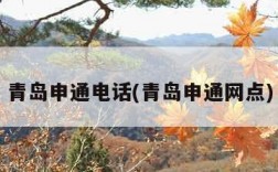 青岛申通电话(青岛申通网点)