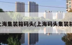 上海集装箱码头(上海码头集装箱)