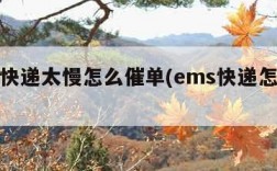 ems快递太慢怎么催单(ems快递怎么催促)
