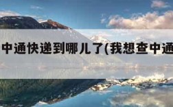 查一个中通快递到哪儿了(我想查中通快递到哪了)