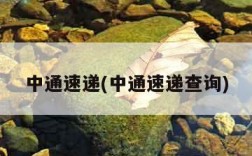 中通速递(中通速递查询)