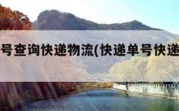 快递单号查询快递物流(快递单号快递单号查洵)