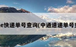 申通e快递单号查询(中通速递单号查询)