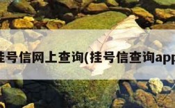 挂号信网上查询(挂号信查询app)