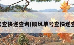 单号查快递查询(顺风单号查快递查询)