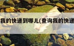 查一下我的快递到哪儿(查询我的快递到那里了)