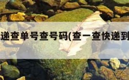 中通快递查单号查号码(查一查快递到哪里了)