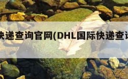国际快递查询官网(DHL国际快递查询官网)