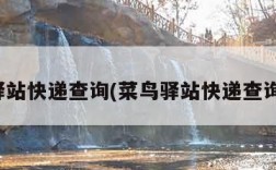 菜鸟驿站快递查询(菜鸟驿站快递查询单号)