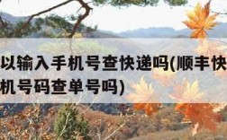顺丰可以输入手机号查快递吗(顺丰快递可以输入手机号码查单号吗)